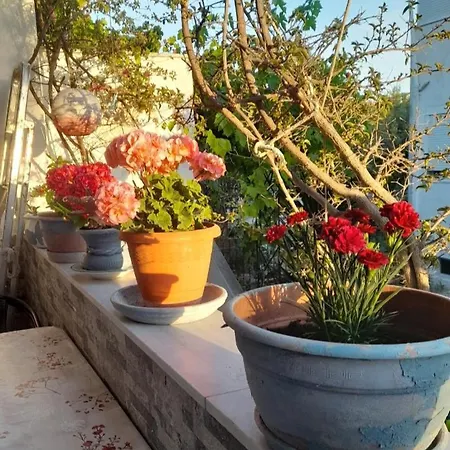 Сasa de vacaciones Cozy Maisonette In Chalkidiki Pefkochori