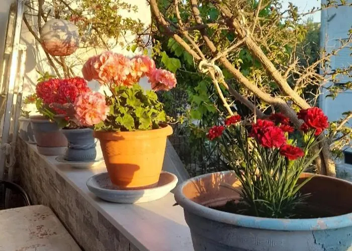 度假居 Cozy Maisonette In Chalkidiki 佩科霍里